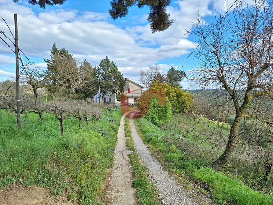 Immagine 3 di Casa semindipendente in vendita  in Contrada Palmenta a Foglianise