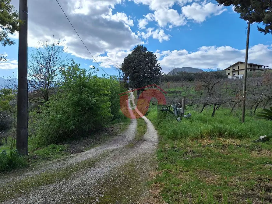 Immagine 4 di Casa semindipendente in vendita  in Contrada Palmenta a Foglianise