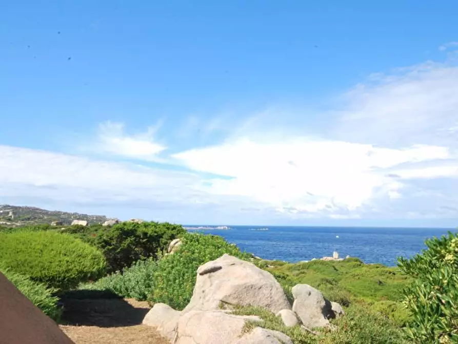 Immagine 20 di Appartamento in vendita  in PORTO QUADRO a Santa Teresa Gallura
