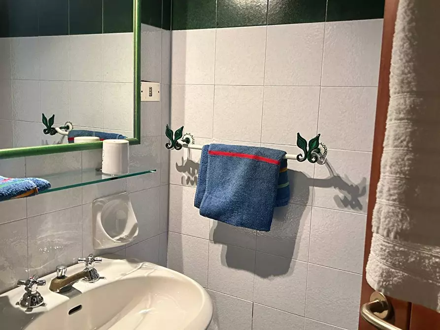 Immagine 11 di Appartamento in affitto  in PORTO QUADRO a Santa Teresa Gallura