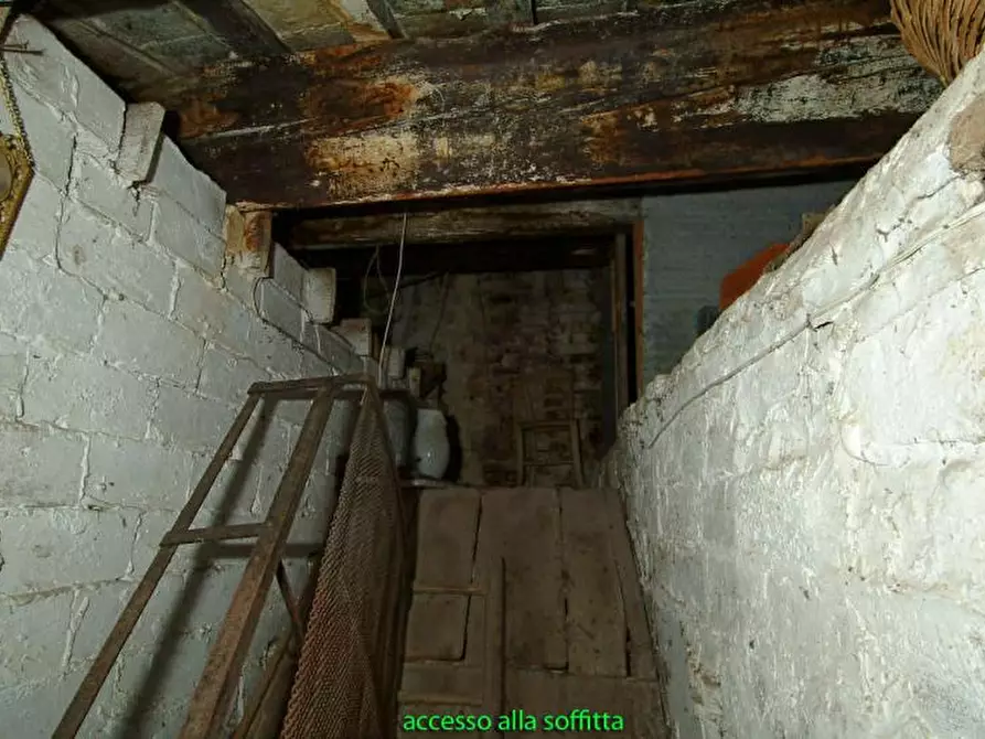 Immagine 4 di Casa indipendente in vendita  in borgo di Moresco a Altidona