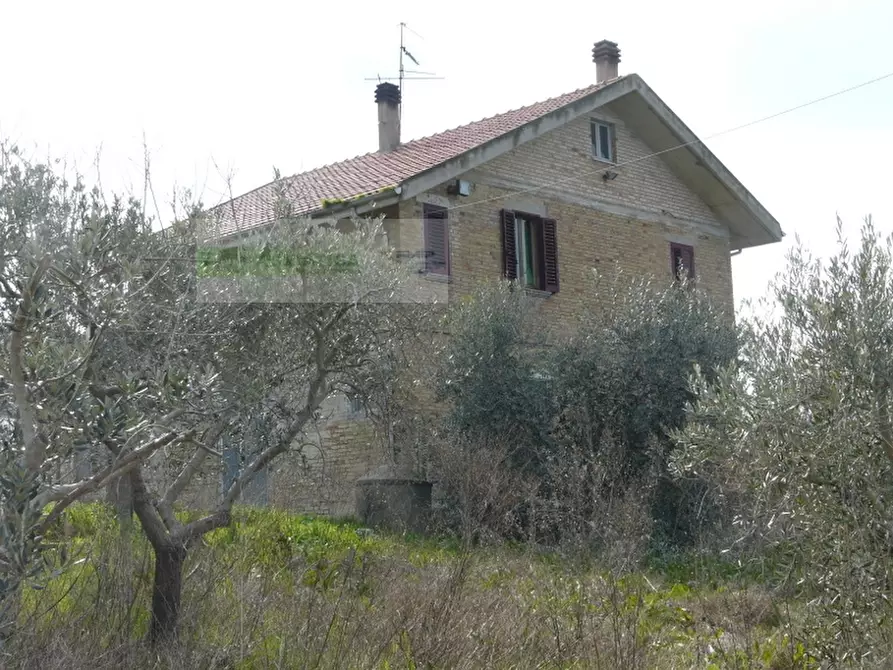 Immagine 22 di Rustico / casale in vendita  in strada provinciale a Torano Nuovo