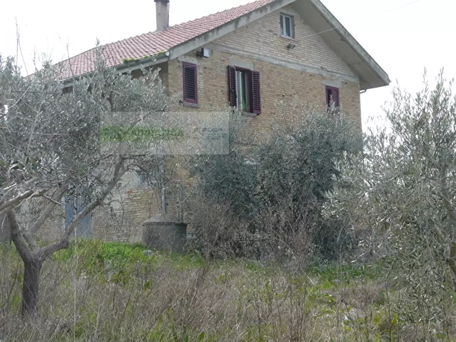 Immagine 23 di Rustico / casale in vendita  in strada provinciale a Torano Nuovo