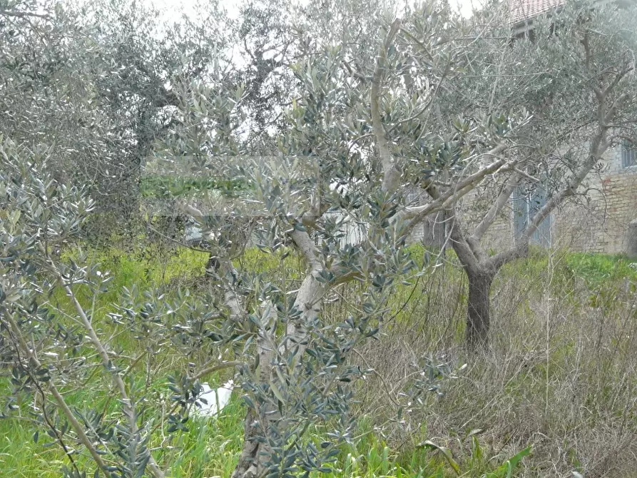 Immagine 24 di Rustico / casale in vendita  in strada provinciale a Torano Nuovo