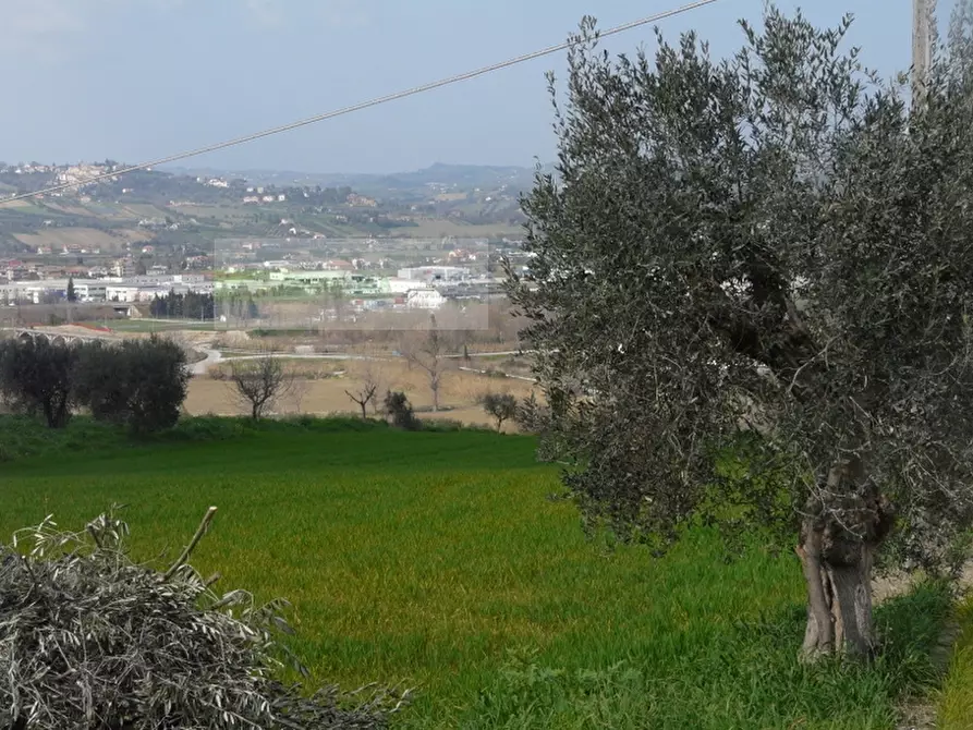 Immagine 25 di Rustico / casale in vendita  in strada provinciale a Torano Nuovo