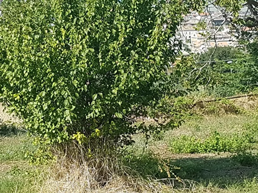 Immagine 27 di Villetta a schiera in vendita  in VALLE DEL FORNO a San Benedetto Del Tronto