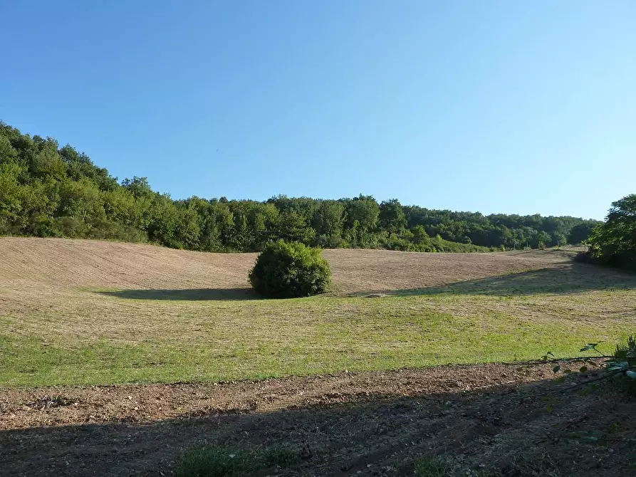 Immagine 1 di Terreno agricolo in vendita  a Ripatransone
