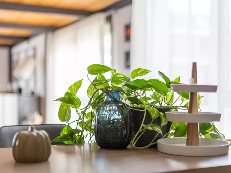 Immagine 15 di Appartamento in vendita  in Via Pompeo Mariani a Milano