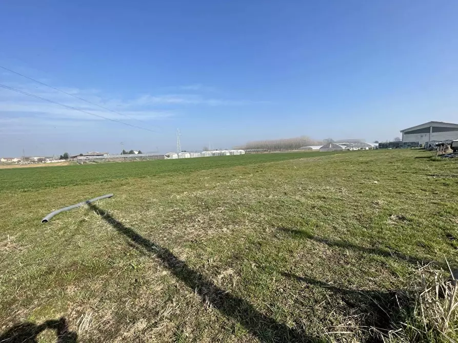 Immagine 2 di Terreno agricolo in vendita  in Tetti Berta a Vinovo
