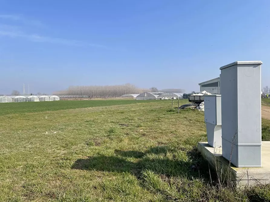 Immagine 3 di Terreno agricolo in vendita  in Tetti Berta a Vinovo