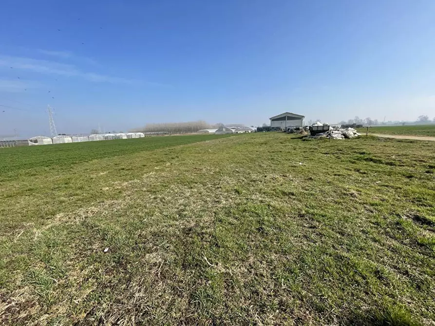 Immagine 4 di Terreno agricolo in vendita  in Tetti Berta a Vinovo