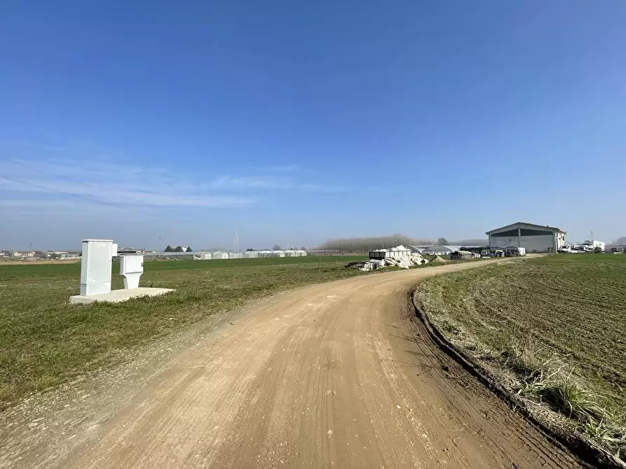 Immagine 5 di Terreno agricolo in vendita  in Tetti Berta a Vinovo