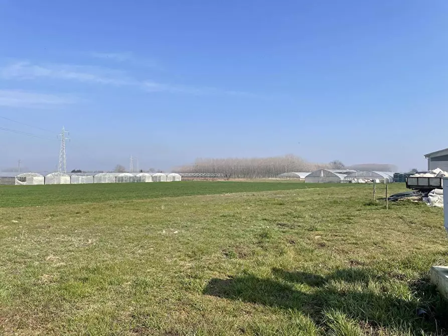 Immagine 6 di Terreno agricolo in vendita  in Tetti Berta a Vinovo