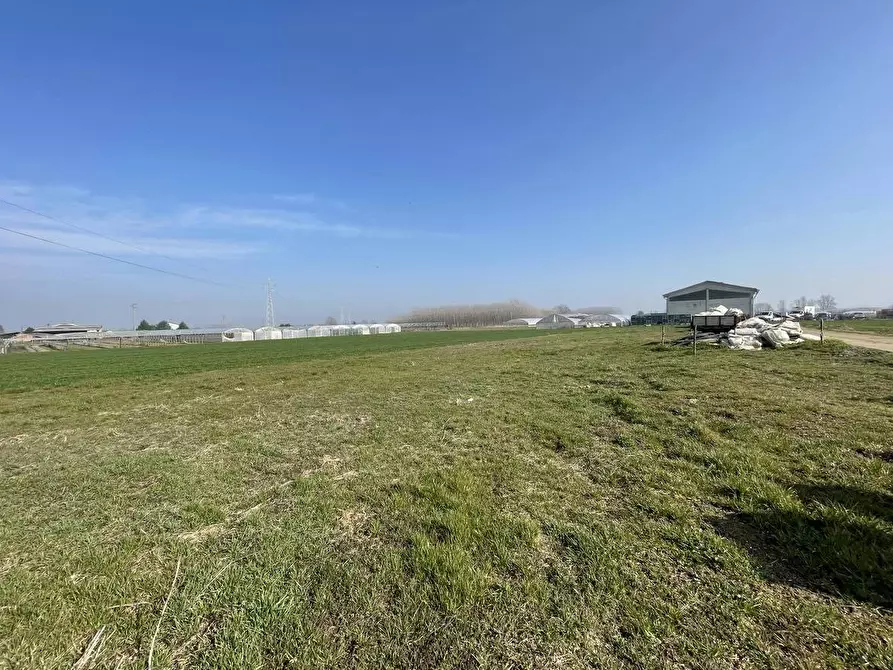 Immagine 7 di Terreno agricolo in vendita  in Tetti Berta a Vinovo