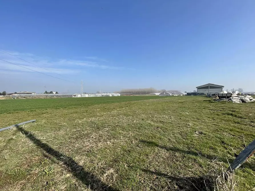 Immagine 8 di Terreno agricolo in vendita  in Tetti Berta a Vinovo