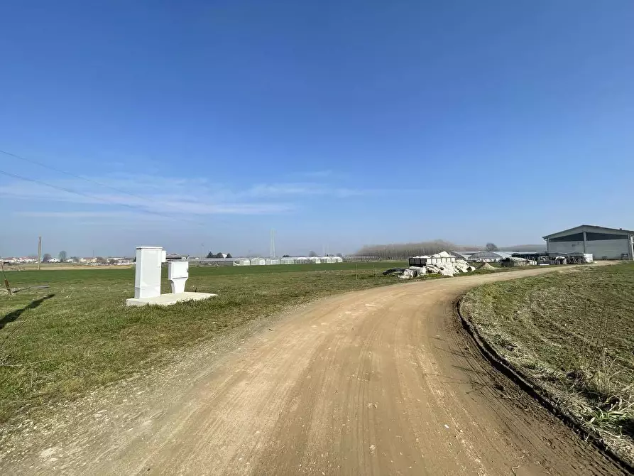 Immagine 9 di Terreno agricolo in vendita  in Tetti Berta a Vinovo