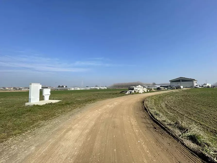 Immagine 10 di Terreno agricolo in vendita  in Tetti Berta a Vinovo