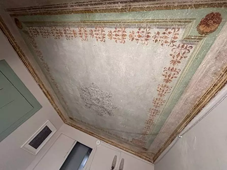 Immagine 21 di Rustico / casale in vendita  in Via Respagliette a Piobesi Torinese