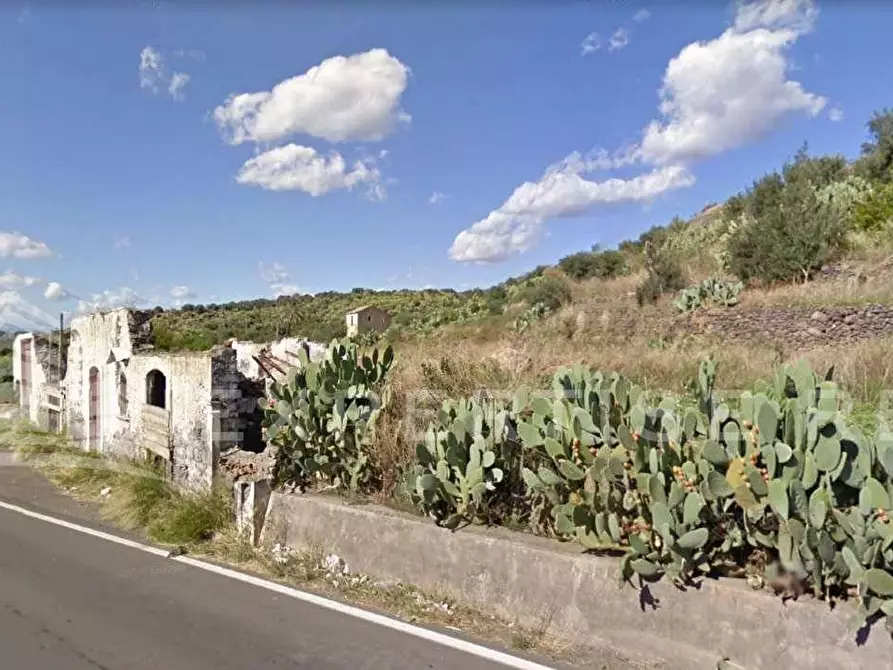 Immagine 2 di Terreno agricolo in vendita  in SS. 121 contrada schettino a Santa Maria Di Licodia