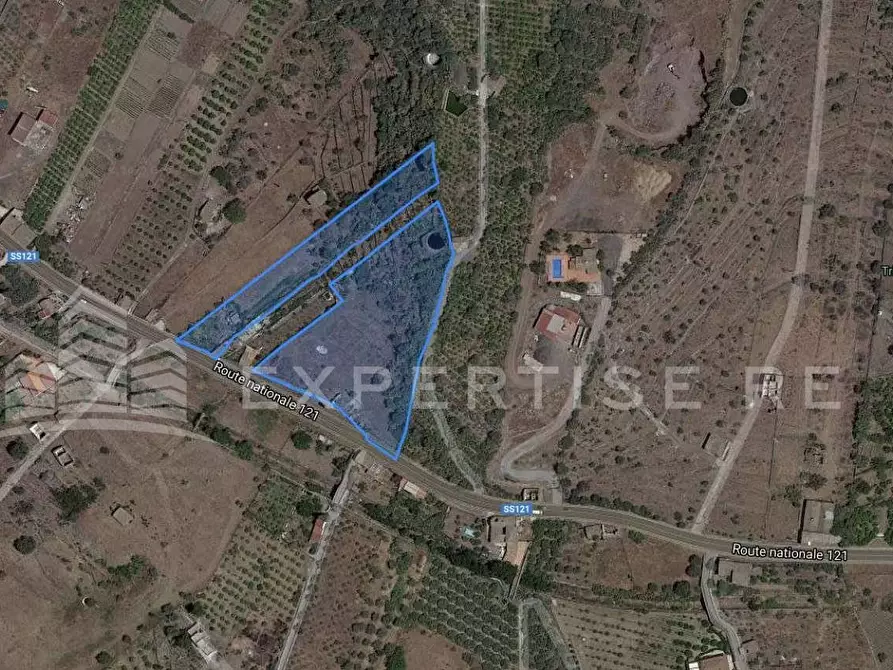 Immagine 3 di Terreno agricolo in vendita  in SS. 121 contrada schettino a Santa Maria Di Licodia
