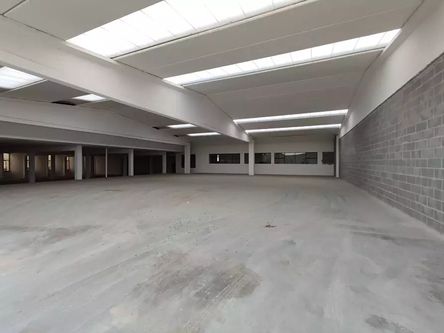 Immagine 11 di Capannone industriale in vendita  in Via Palazzolo a Pontoglio