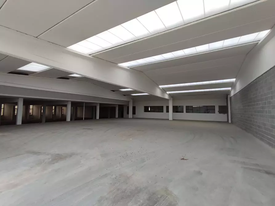 Immagine 13 di Capannone industriale in vendita  in Via Palazzolo a Pontoglio