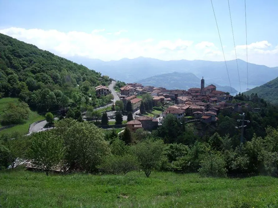 Immagine 15 di Casa indipendente in vendita  in Via Valle a Parzanica