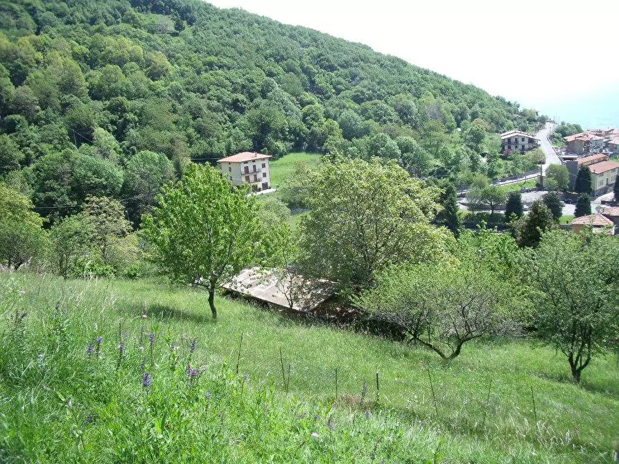Immagine 16 di Casa indipendente in vendita  in Via Valle a Parzanica