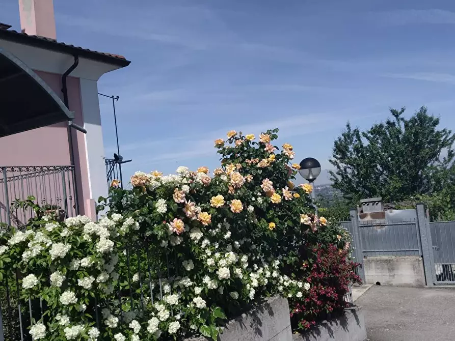 Immagine 9 di Villa in vendita  in Via Carlo Alberto a Verduno