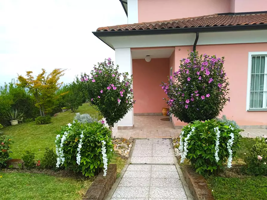 Immagine 5 di Villa in vendita  in Via Carlo Alberto a Verduno