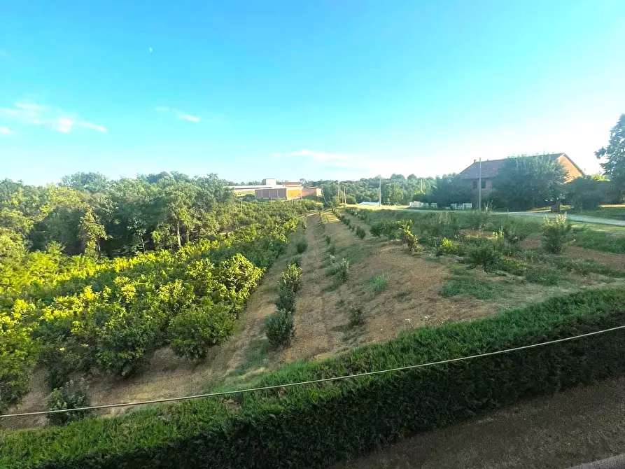 Immagine 22 di Casa indipendente in vendita  in FRAZIONE SAN BERNARDO a Monteu Roero