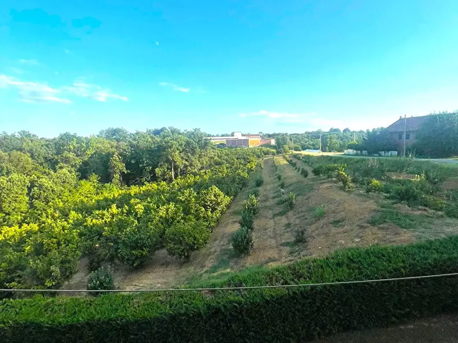 Immagine 23 di Casa indipendente in vendita  in FRAZIONE SAN BERNARDO a Monteu Roero