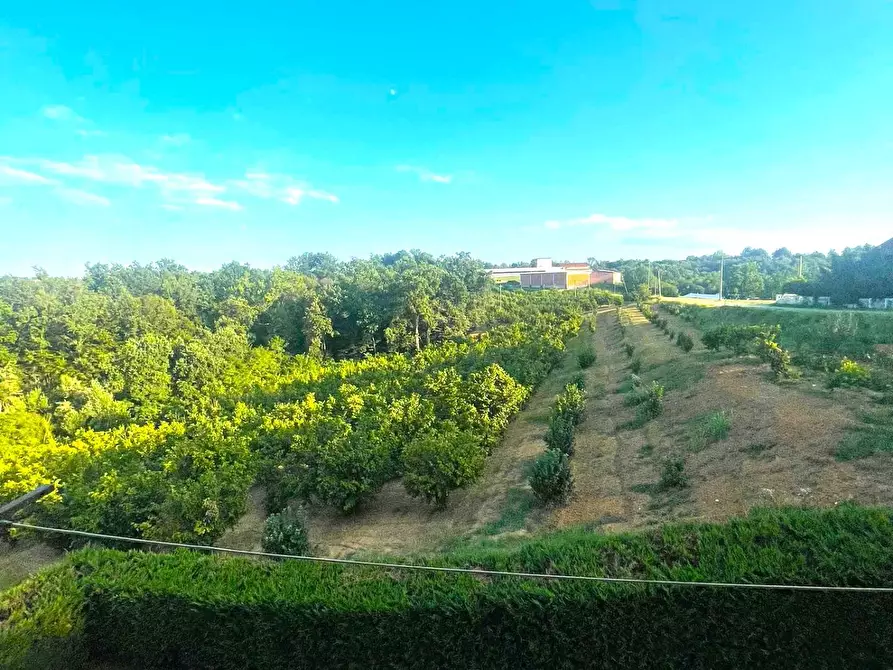 Immagine 24 di Casa indipendente in vendita  in FRAZIONE SAN BERNARDO a Monteu Roero