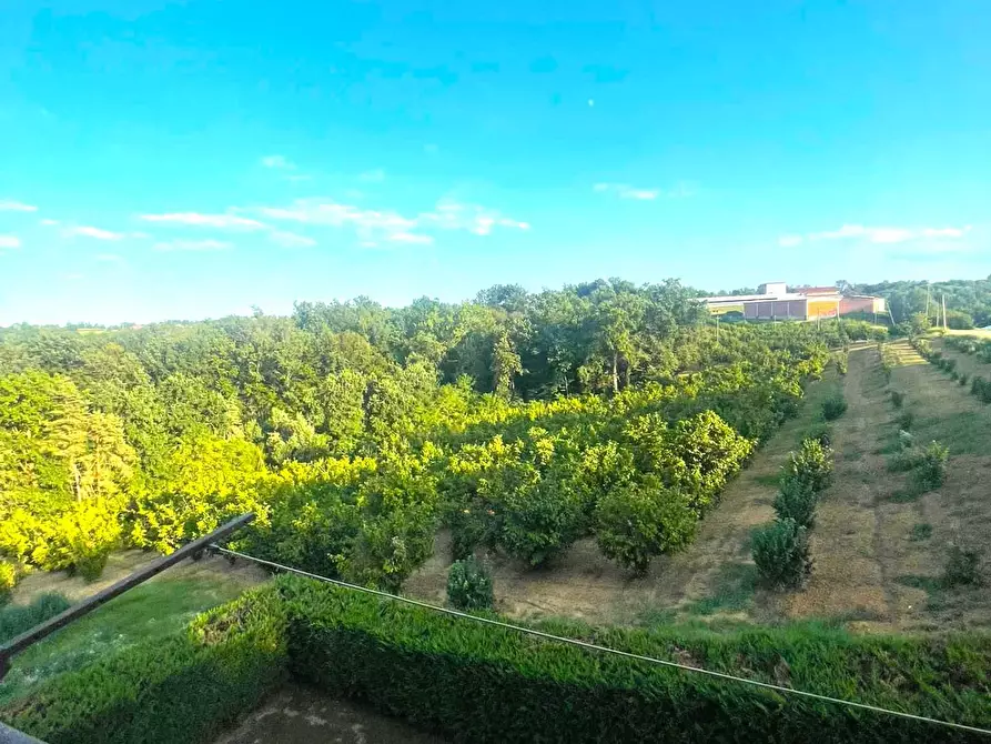 Immagine 25 di Casa indipendente in vendita  in FRAZIONE SAN BERNARDO a Monteu Roero