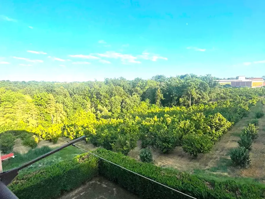 Immagine 26 di Casa indipendente in vendita  in FRAZIONE SAN BERNARDO a Monteu Roero