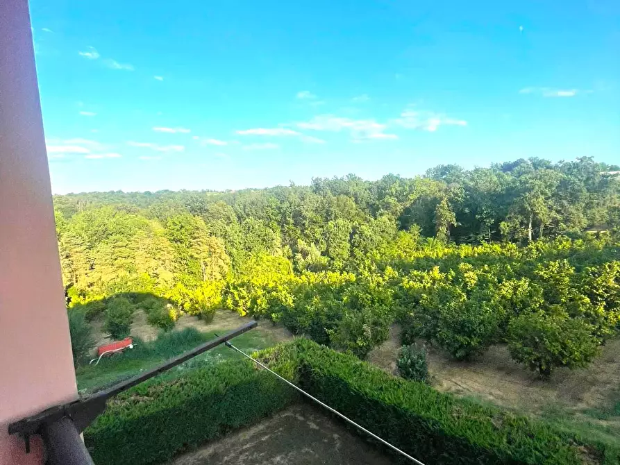 Immagine 27 di Casa indipendente in vendita  in FRAZIONE SAN BERNARDO a Monteu Roero