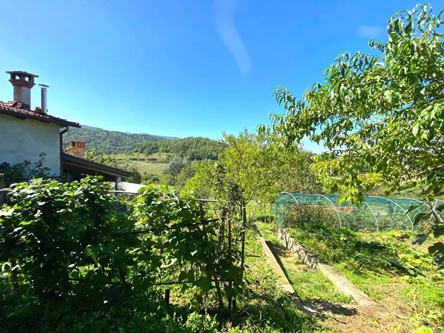 Immagine 28 di Casa indipendente in vendita  in LOCALITÀ  CERRERO a Sale Delle Langhe