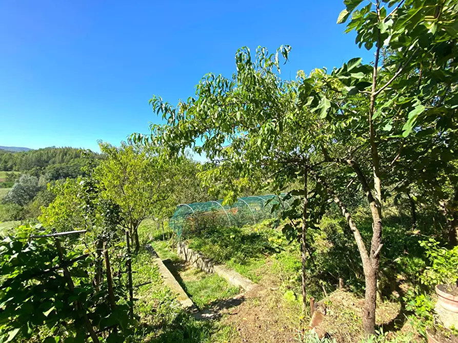 Immagine 29 di Casa indipendente in vendita  in LOCALITÀ  CERRERO a Sale Delle Langhe
