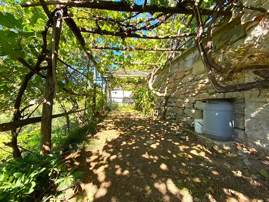 Immagine 30 di Casa indipendente in vendita  in LOCALITÀ  CERRERO a Sale Delle Langhe