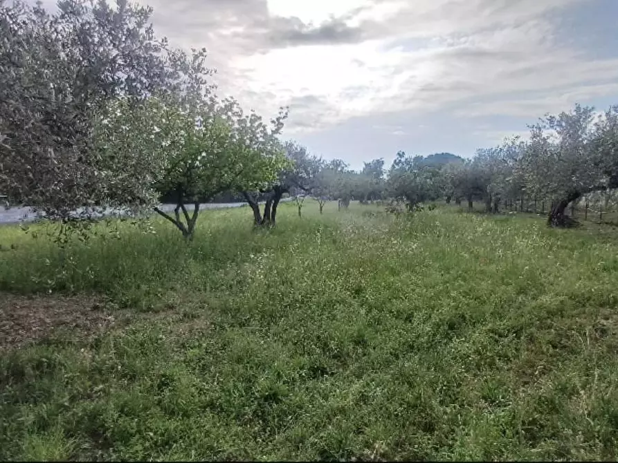 Immagine 4 di Terreno residenziale in vendita  in Viale Colli a Rosciano