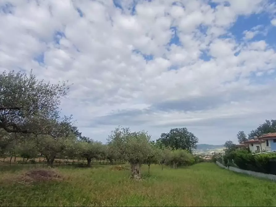 Immagine 3 di Terreno residenziale in vendita  in Viale Colli a Rosciano