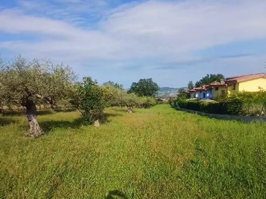 Immagine 1 di Terreno residenziale in vendita  in Viale Colli a Rosciano