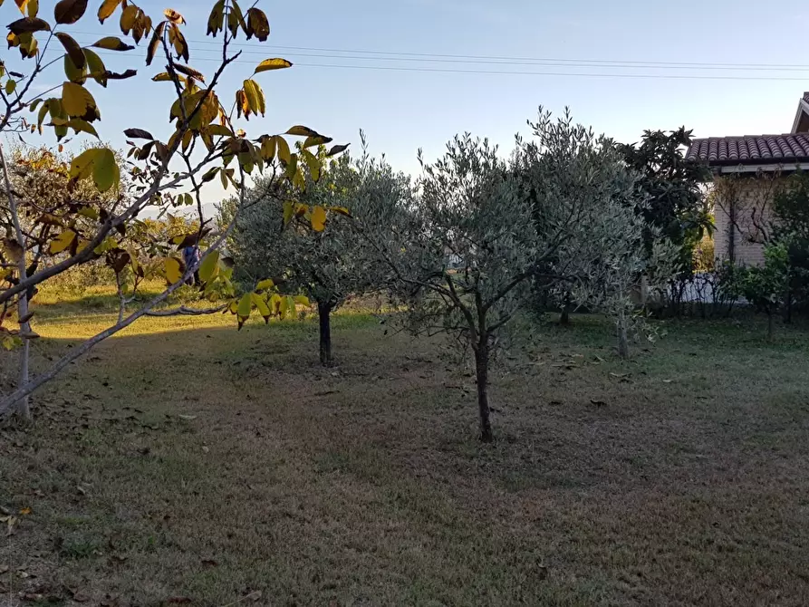 Immagine 28 di Villa in vendita  in VIA BORGO DA MONTE a Monteprandone