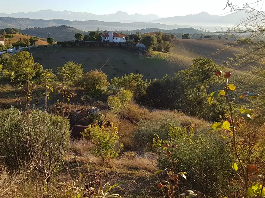 Immagine 29 di Villa in vendita  in VIA BORGO DA MONTE a Monteprandone