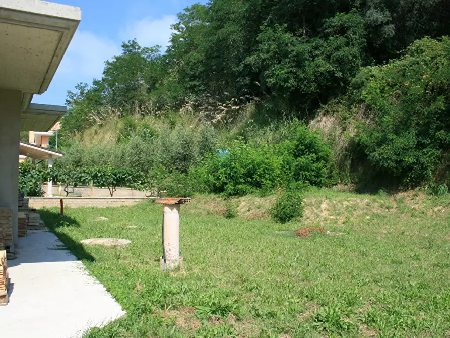 Immagine 3 di Casa indipendente in vendita  in abruzzi a Cupra Marittima