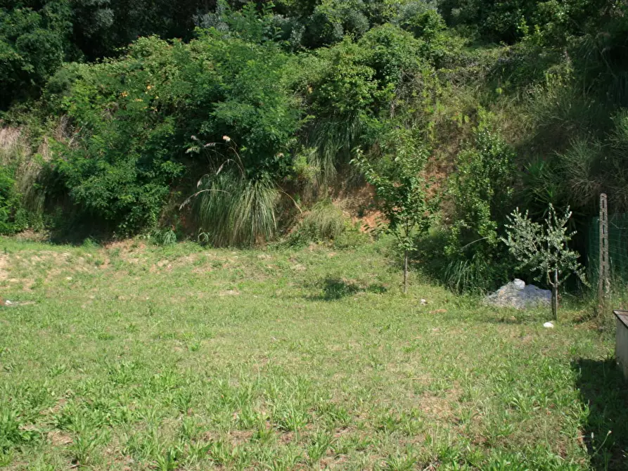 Immagine 12 di Casa indipendente in vendita  in abruzzi a Cupra Marittima