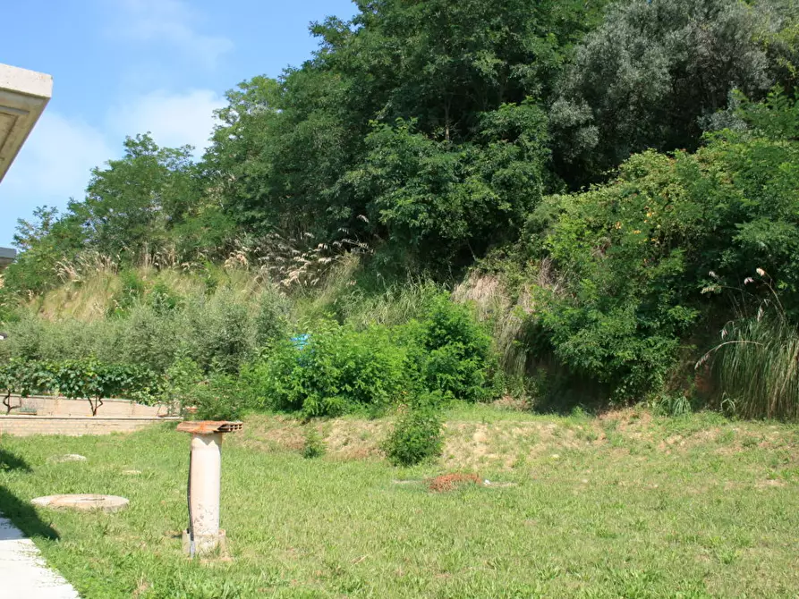 Immagine 13 di Casa indipendente in vendita  in abruzzi a Cupra Marittima