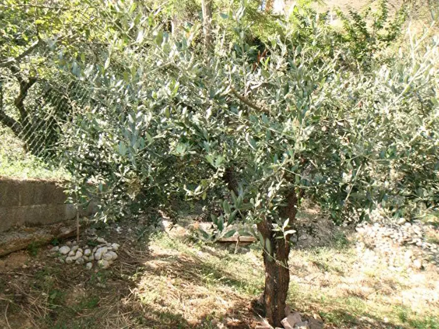 Immagine 16 di Appartamento in vendita  in tomei a Montefiore Dell'aso
