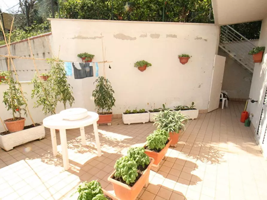 Immagine 11 di Appartamento in vendita  in tomei a Montefiore Dell'aso