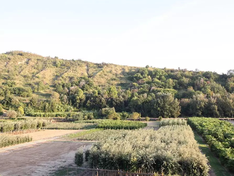 Immagine 12 di Camera in vendita  in Contrada Vallecupa a Colonnella